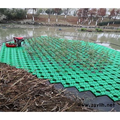 人工浮岛景观工程-日照浮岛景观工程-众禾水生植物品质优良