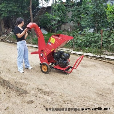 电动低噪音树杈削片机 环保型植物垃圾粉碎处理机 干鲜枝条粉碎机厂家型号齐全1