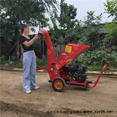 省济宁市园移动式枝条碎枝机 手推式果园树枝粉碎机 汽油动力果木枝条粉碎机3