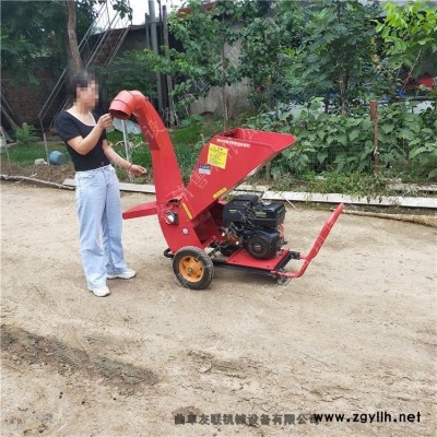 手推移动卧式小型树枝粉碎机 环保型修剪树杈粉碎机 厂家型号齐全1