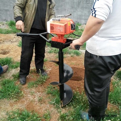 农用果树钻坑机 大功率汽油挖坑机