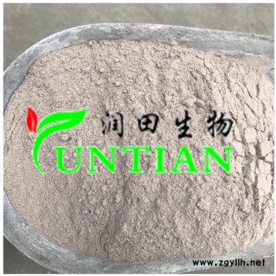 淡紫拟青霉怎么买到-淡紫拟青霉-济宁润田生物(查看)