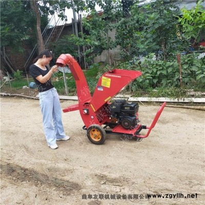 小区环保树枝粉碎机 汽油式移动树枝粉碎机 192柴油电动10公分树干粉碎机2