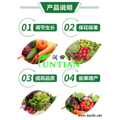 芸苔素内酯在大蒜上使用-芸苔素内酯-济宁润田生物(查看)