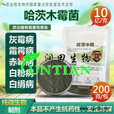 哈茨木霉菌-哈茨木霉菌使用方法-济宁润田生物(推荐商家)