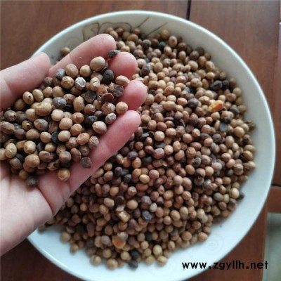 碳化大豆报价-沃力生物(在线咨询)-碳化大豆