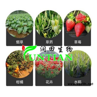 哈茨木霉菌的作用-东营哈茨木霉菌-济宁润田生物厂家