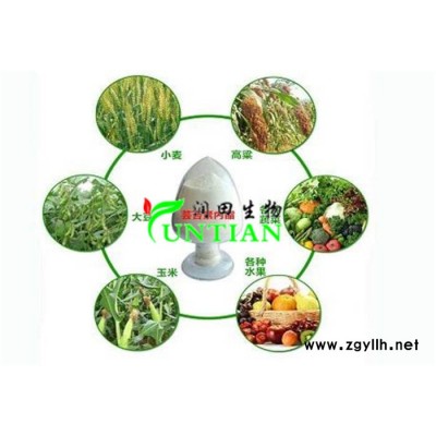 芸苔素内酯报价-润田生物厂家批发-芸苔素内酯