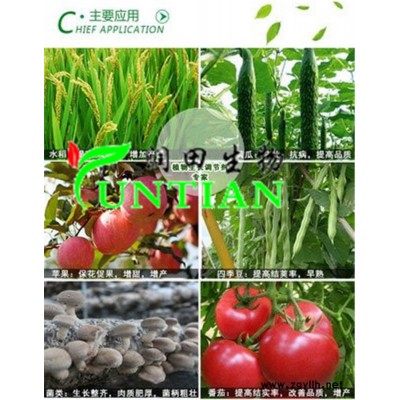 胺鲜酯用量-胺鲜酯-润田生物生产厂家(查看)