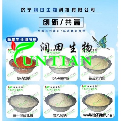 胺鲜酯在枣树上的应用-济宁润田生物厂家-胺鲜酯