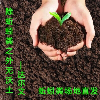 供应散装袋装蚯蚓粪，全国发货图1
