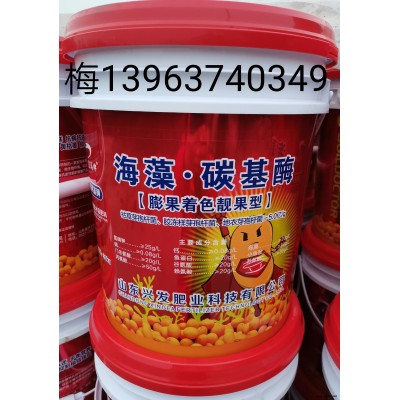 供应优质海藻.炭基酶(膨果着色型）