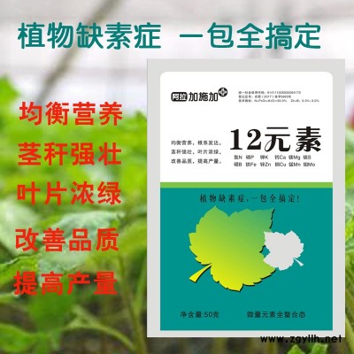 供应12元素 微量元素叶面肥 改善植物缺素症 均衡营养 提高产量