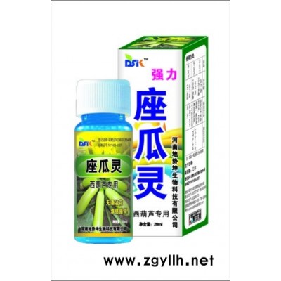 供应西葫芦座瓜灵