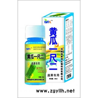 供应  地势坤  黄瓜一尺二