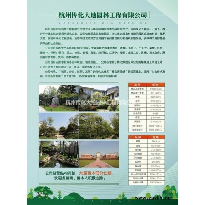 萧山基地出售大量珊胡朴