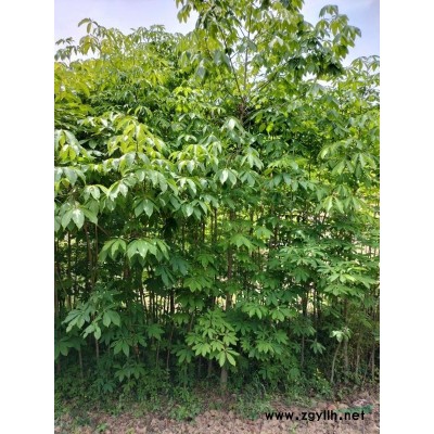 价格美丽，量大从优