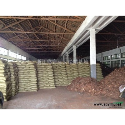 杭州现有一批樱花低价处理/13公分樱花低价供应