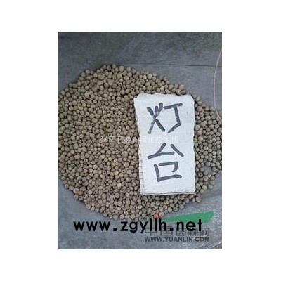 **大竹苗销售基地常年供应方竹