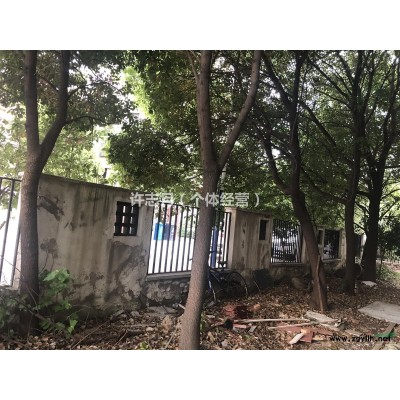 提供胸径10-30cm的香樟树