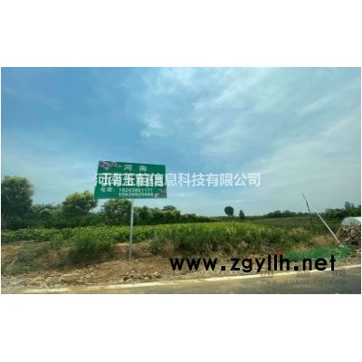 南阳南召县玉兰之乡红玉兰白玉兰