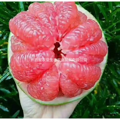 泰国红宝石青柚