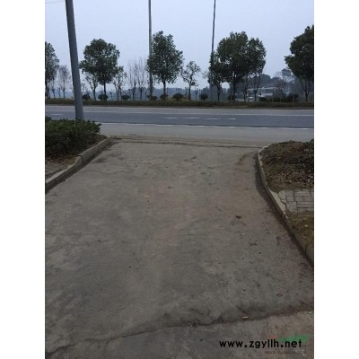 湖南地区供应7～16公分桂花树八月桂