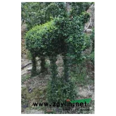 四川紫薇造型-站在葫芦上的鹰