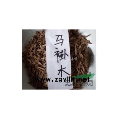 美国紫薇 红火球紫薇 厂家直销品质可信