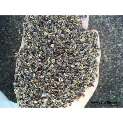 江西扬梅树供应