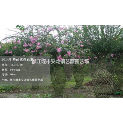 220cm高精品紫薇花瓶