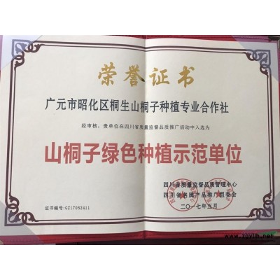 山桐子育苗、种植及销售