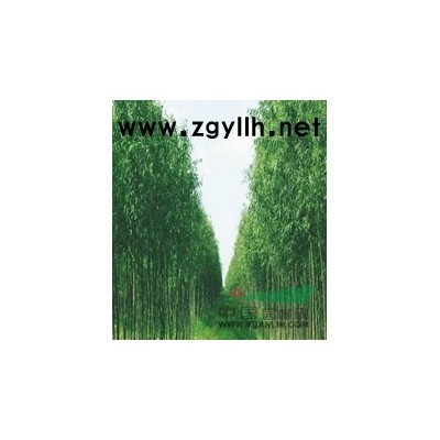 2015江苏连云港地区紫荆*新报价