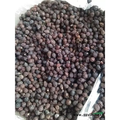 朴树（两年）小苗大量处理