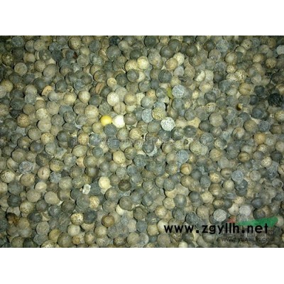 榉树、香樟、重阳木、无患子、杜英、黄山栾树