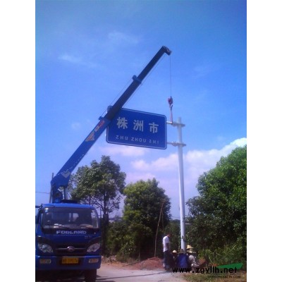 桂花 桂花小苗 小苗 价格 株洲桂花小苗