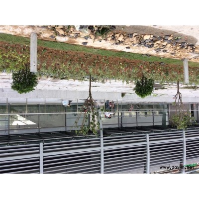 四明山田野园艺场