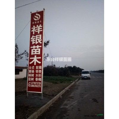 江苏低价供应紫薇，紫薇小苗批发多少钱