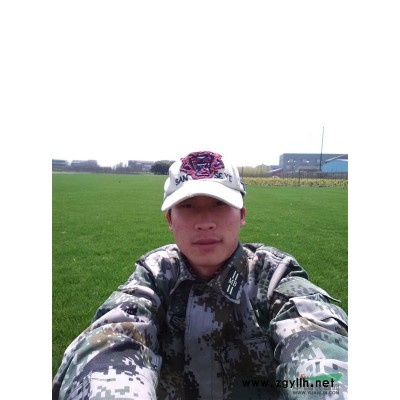 低价出售无土沙陪草坪10方