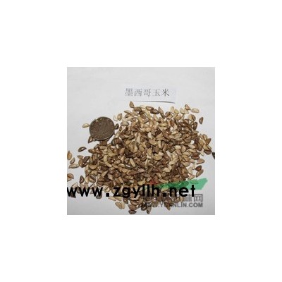 江西哪里有卖绿化苗木牧草种子的