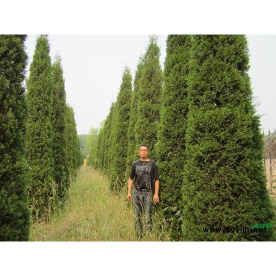 4-4.5米的蜀侩出售