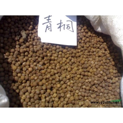 紫薇种子报价/山东紫薇种子报价