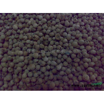 黄山栾树、水杉、青钱柳