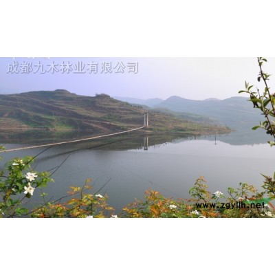 供应种苗木的土地，位于四川眉山