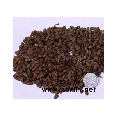 垂丝海棠、日本樱花