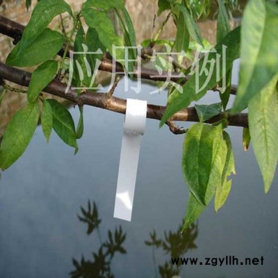 苗木标签，树木标签，果树标签