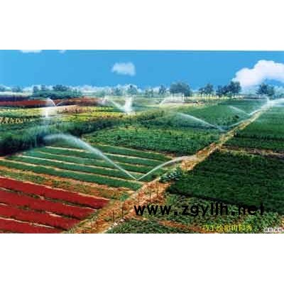 樱花、红枫、蜀桧、紫薇等绿化苗木