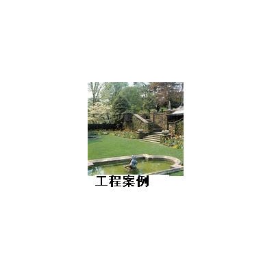 各类苗木