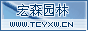 银杏实生嫁接树、银杏叶、果