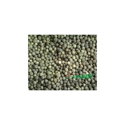 供应白皮松种子/江西白皮松种子低价格批发